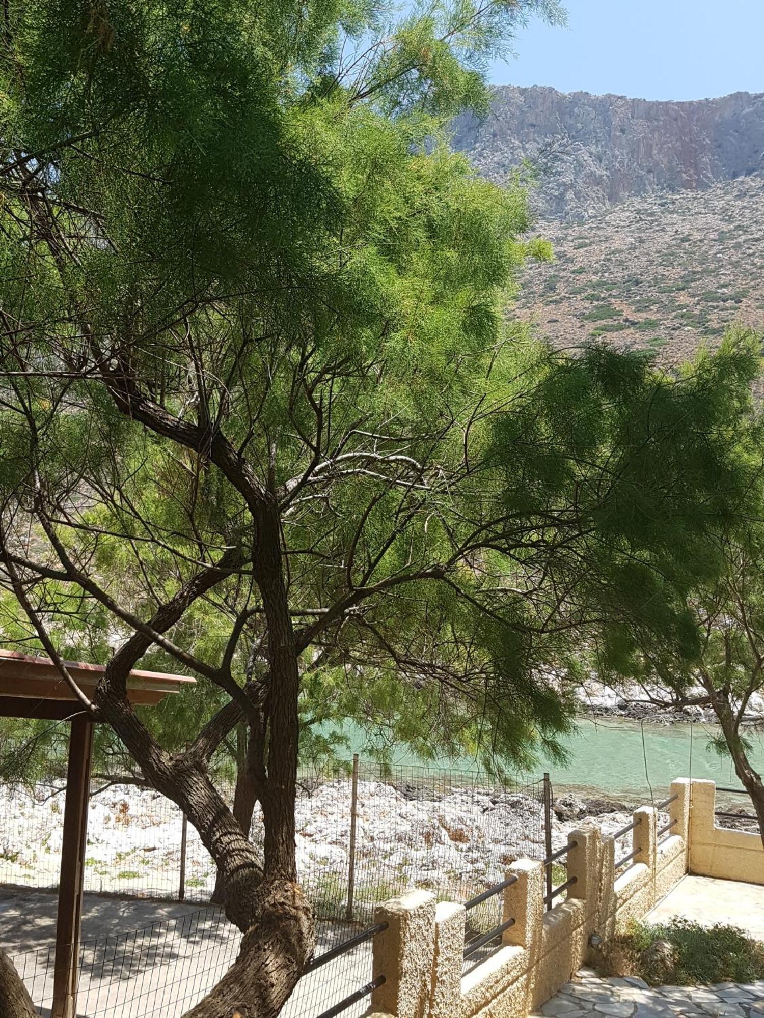 דירות Stavrós Little Bay חדר תמונה
